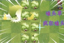 最新 植物爆料视频,神秘植物视频曝光，带你探索未知生命奥秘