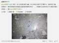 重庆天气最新爆料,局部地区暴雨预警！